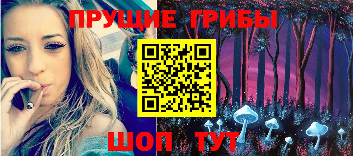 Псилоцибиновые грибы прущие грибы  Вход с VPN  Нальчик  Галлюциногенные грибы Psilocybine cubensis 
