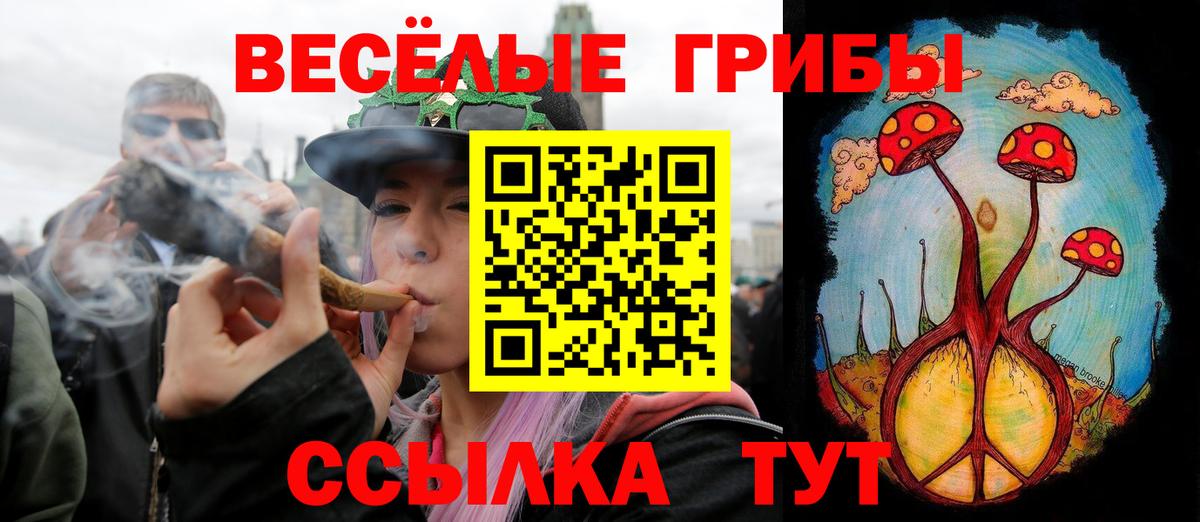 Псилоцибиновые грибы Magic Shrooms Нальчик
