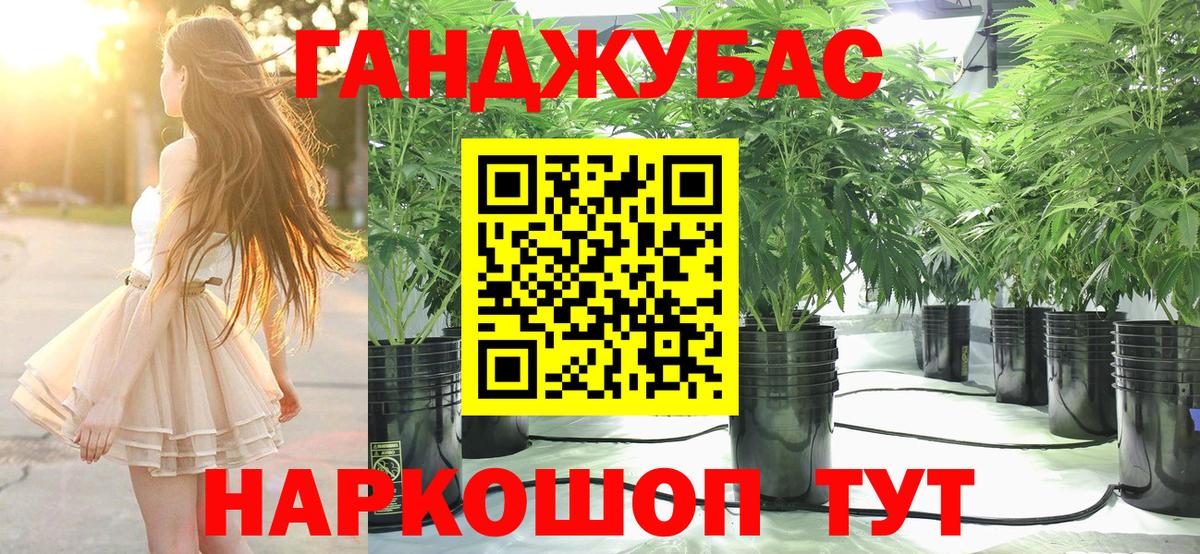 Канабис план Нальчик